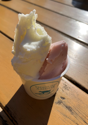 魔界じゃなくて牧場です。 石田ガラスサッシ販売のブログ 写真3