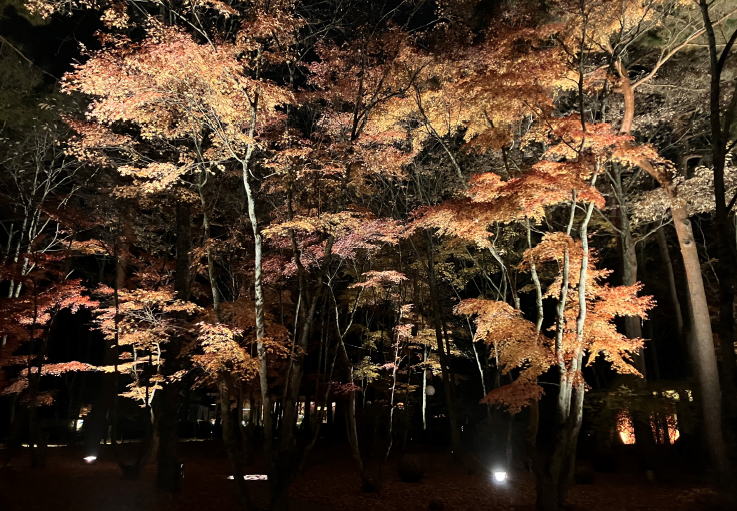 秋の軽井沢に紅葉の旅に行きました！ 石田ガラスサッシ販売のブログ 写真1