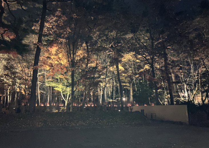 秋の軽井沢に紅葉の旅に行きました！ 石田ガラスサッシ販売のブログ 写真2