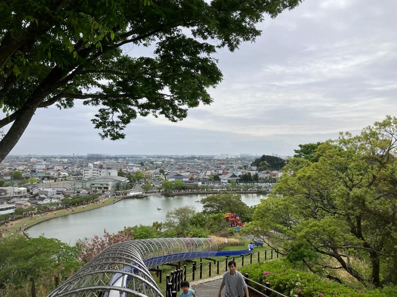 藤枝市のシンボル!蓮華寺池公園を散策しました! 石田ガラスサッシ販売のブログ 写真3