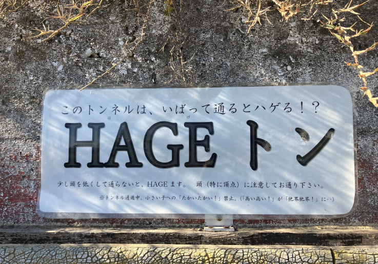 魔界じゃなくて牧場です。 石田ガラスサッシ販売のブログ 写真2