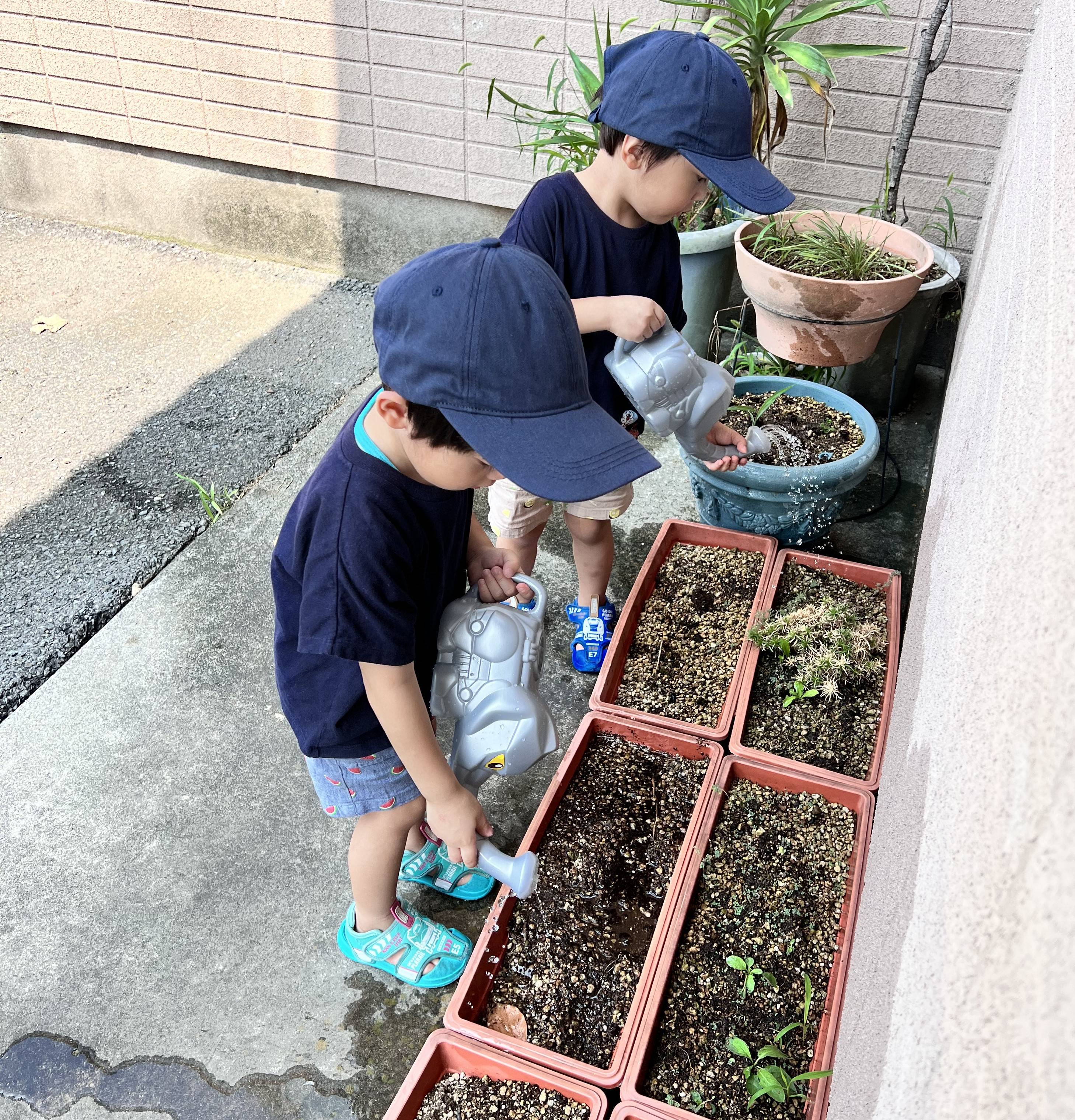 お盆休み 新屋のブログ 写真1