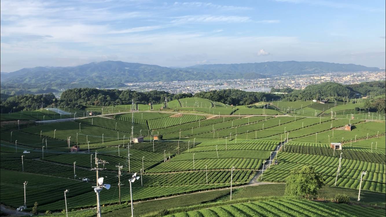 八女市オススメスポットの紹介です 新屋のブログ 写真4