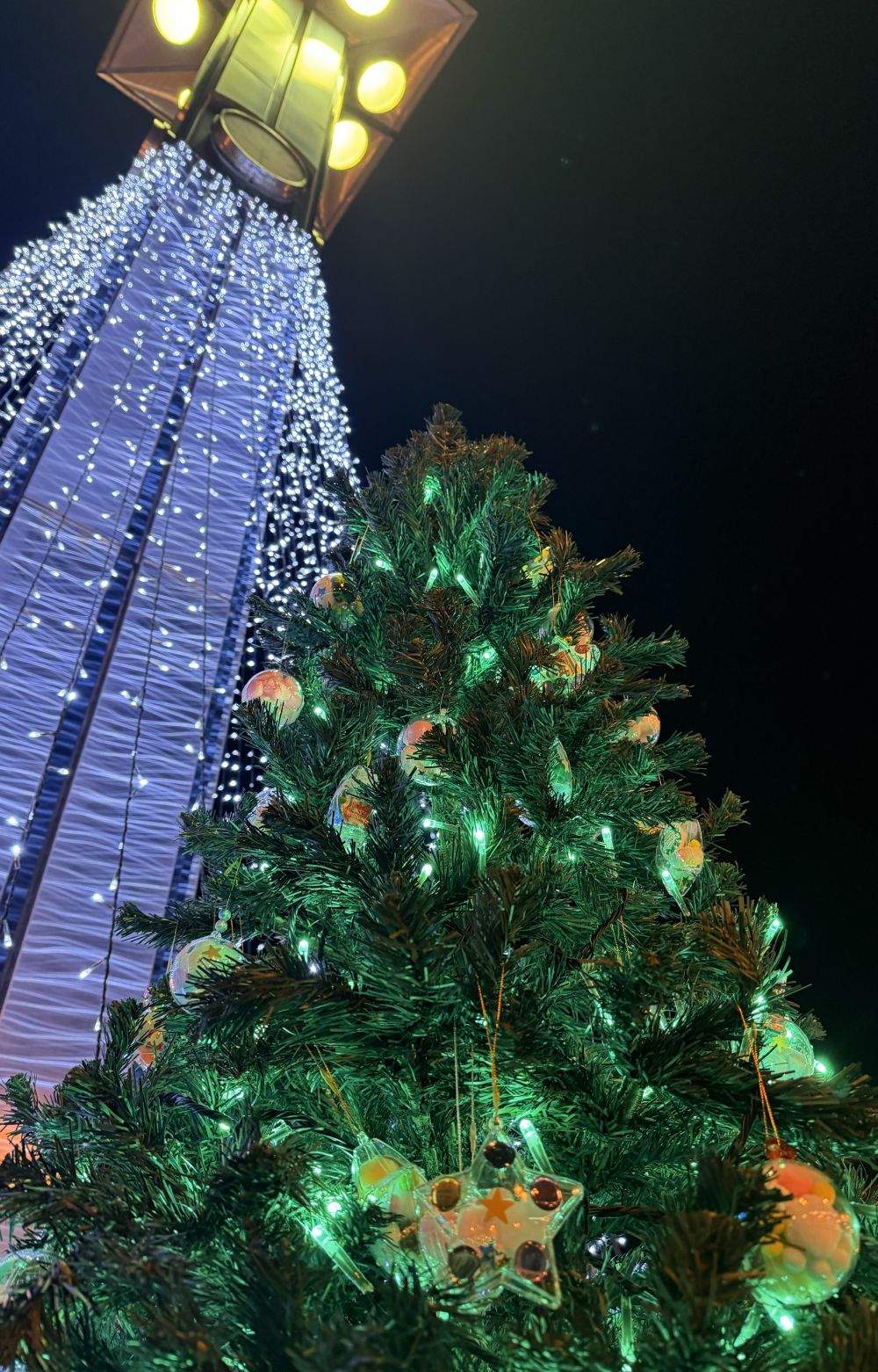 お疲れ様会 新屋のブログ 写真3