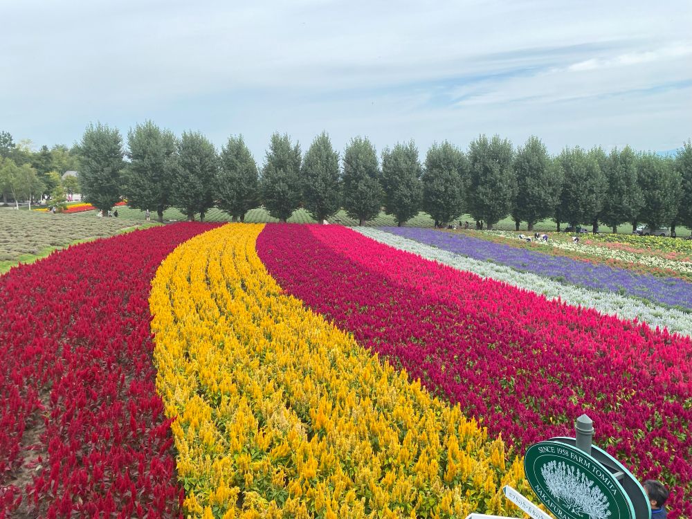 北海道土産 新屋のブログ 写真1
