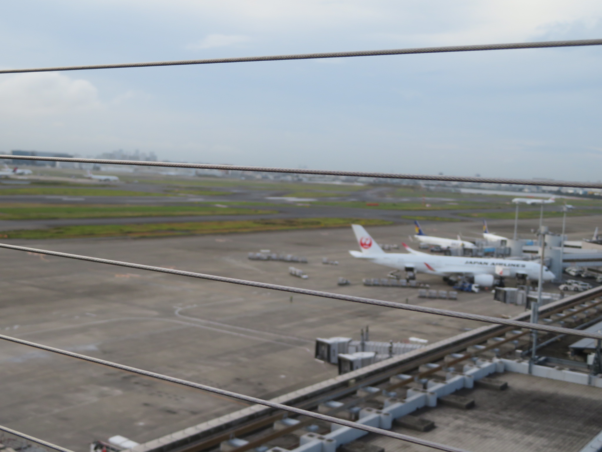 帰りの飛行機　ディズニーでした 広島ガラス建材トーヨー住器のブログ 写真1