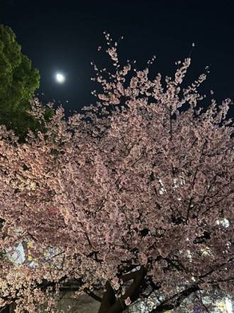 夜の散策 西幸のブログ 写真1