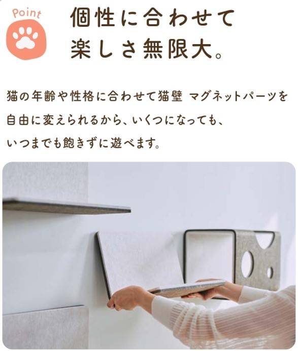 猫好きな方必見！ 西幸のブログ 写真1