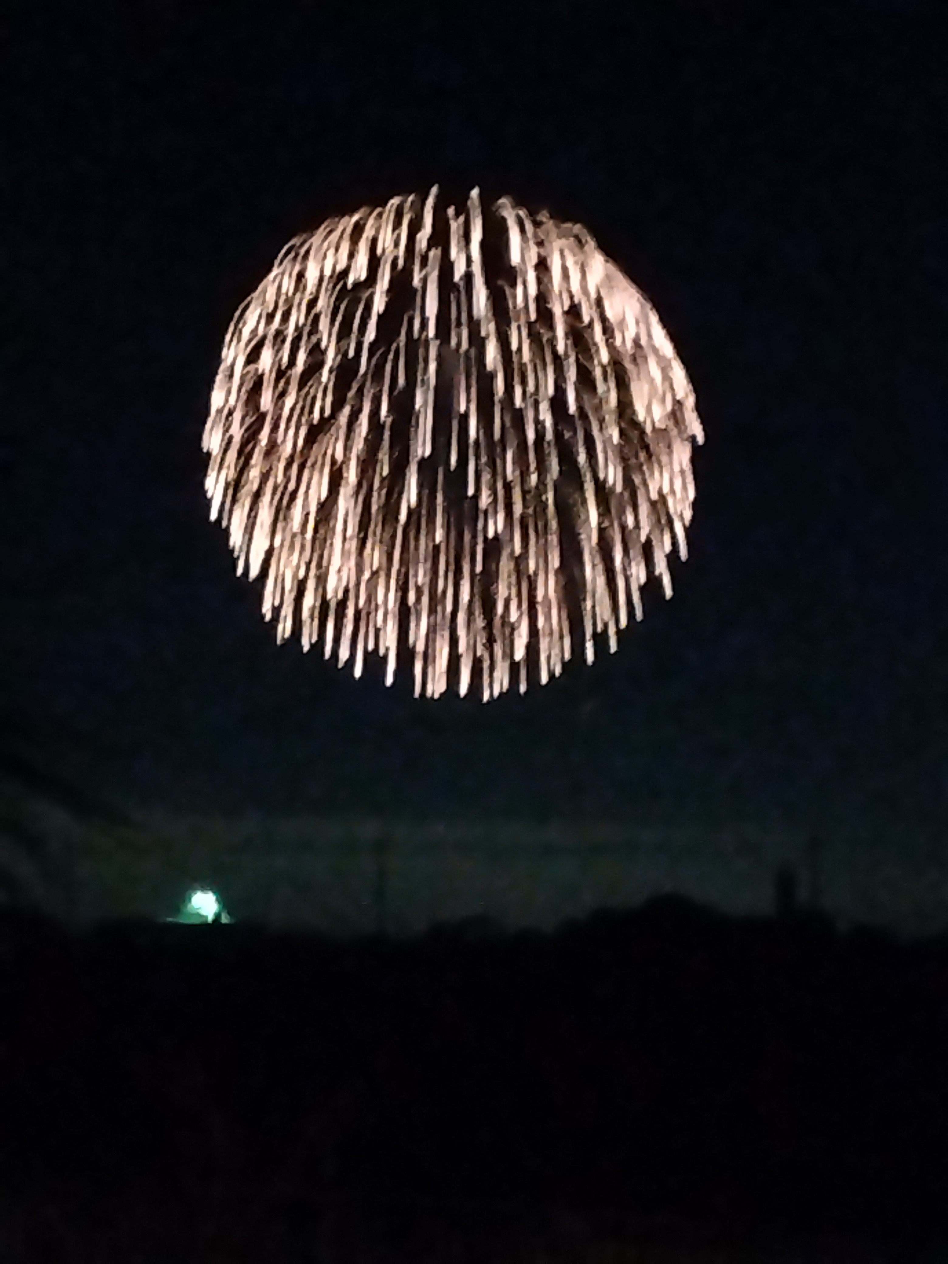 秋の花火 西幸のブログ 写真1