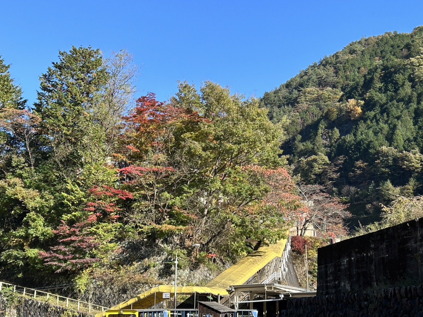 紅葉狩り 西幸のブログ 写真2