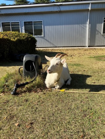 LIXIL工場見学 西幸のブログ 写真2