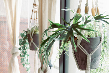 南横浜トーヨー住器の【横浜市 栄区】リシェントで毎日をもっと心地よく❗️汚れや傷み、湿気やニオイのこもりも即解決✨のお客さまの声の写真1