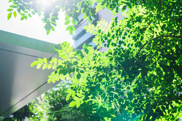 南横浜トーヨー住器の【横浜市 金沢区】リフォームシャッターで防犯性・耐風性・意匠性を手軽にアップ‼️✨のお客さまの声の写真1