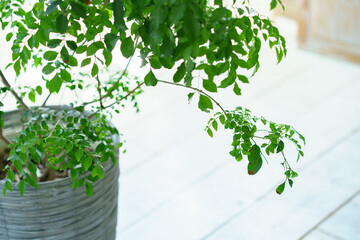 南横浜トーヨー住器の【横浜市 戸塚区】取替窓リプラスでお部屋の寒さを解消!♨️窓リノベの補助金が2026年も継続決定💰のお客さまの声の写真1