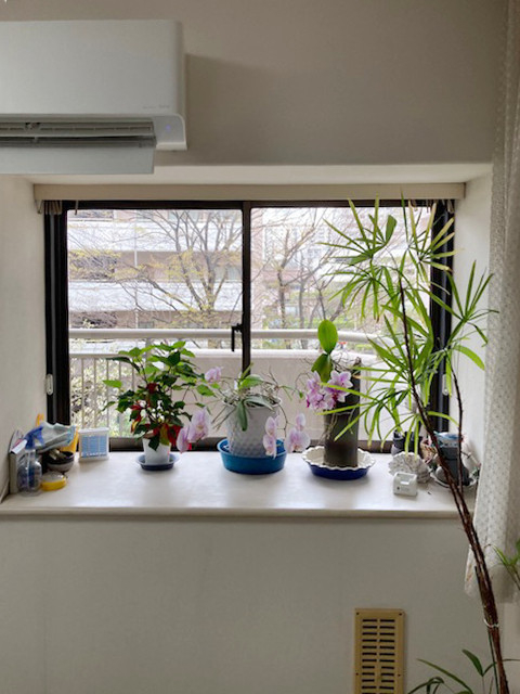 南横浜トーヨー住器の【横浜市金沢区】窓リノベ申請件数 No.１👑LIXILの内窓インプラスが選ばれる 4 つのポイントの施工前の写真2