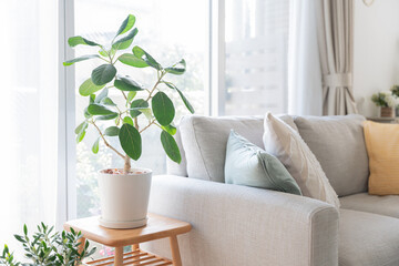 南横浜トーヨー住器の【横浜市 泉区】アタッチメント付PGで単板ガラスをカンタンに断熱性の高いペアガラスへ交換！のお客さまの声の写真1