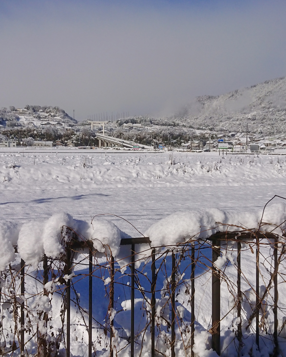 セイワ四日市店の積雪の中勝手口の鍵を交換です。　【動画あり！】の施工後の写真2