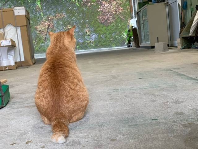 6月30日(金) 花光リフォームのブログ 写真1