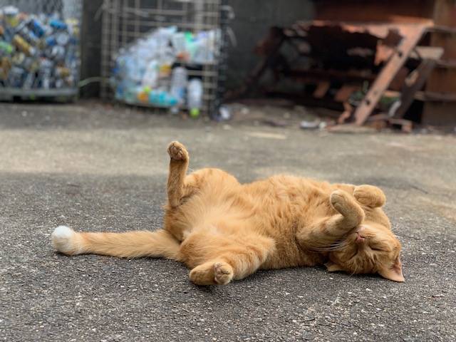 9月14日(木) 花光リフォームのブログ 写真1