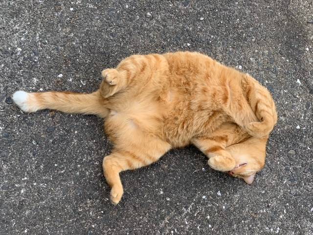 9月14日(木) 花光リフォームのブログ 写真2
