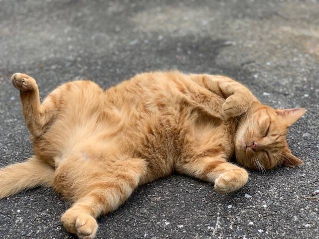 9月14日(木) 花光リフォームのブログ 写真3