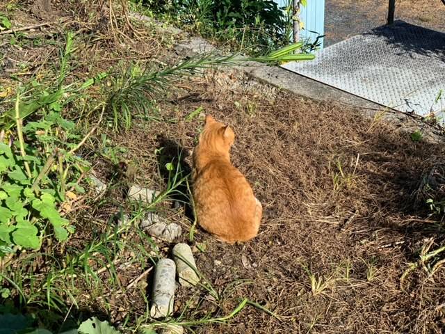 9月25日(月) 花光リフォームのブログ 写真1