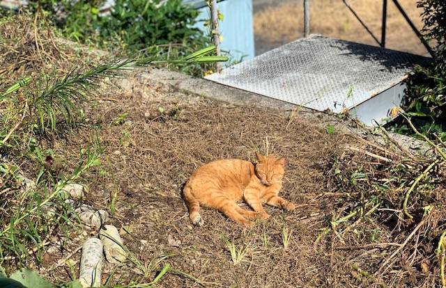9月25日(月) 花光リフォームのブログ 写真2
