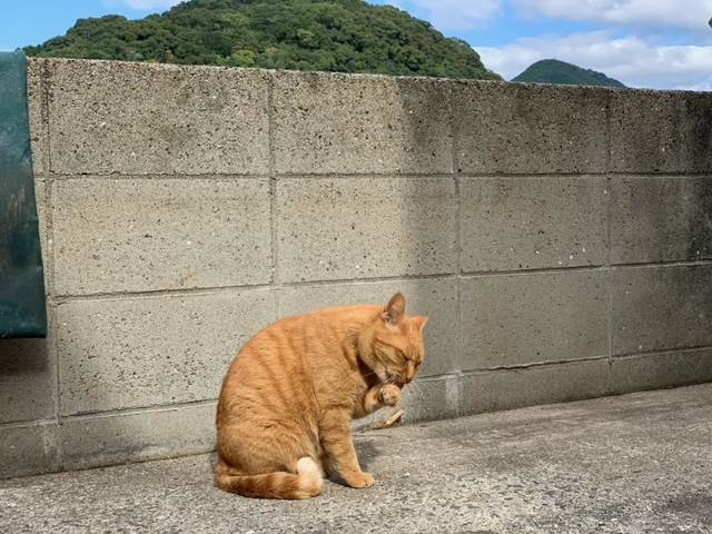 10月30日(月) 花光リフォームのブログ 写真2
