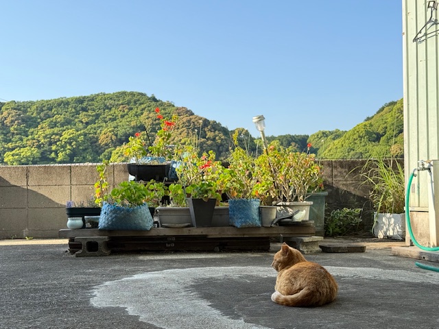5月14日(水) 花光リフォームのブログ 写真1