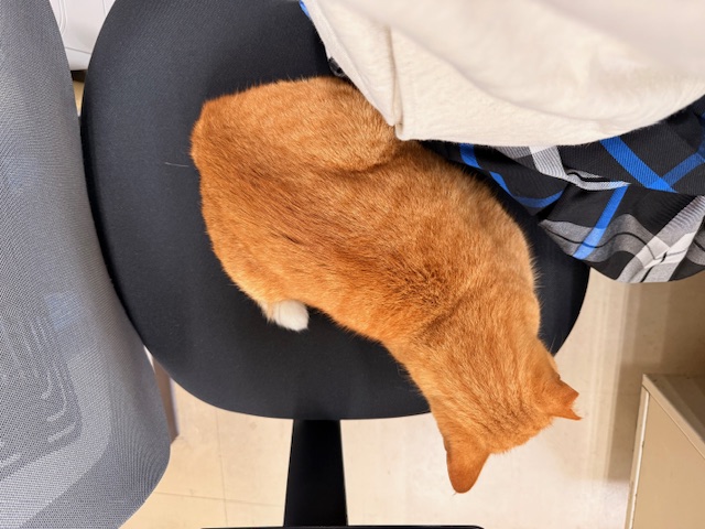 11月11日（火） 花光リフォームのブログ 写真1