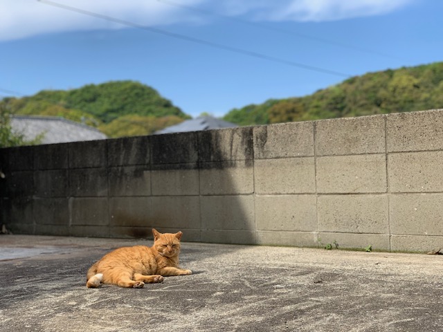 4月12日（金） 花光リフォームのブログ 写真3