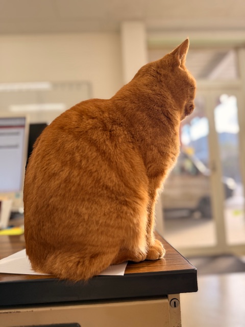 12月18日（木） 花光リフォームのブログ 写真3