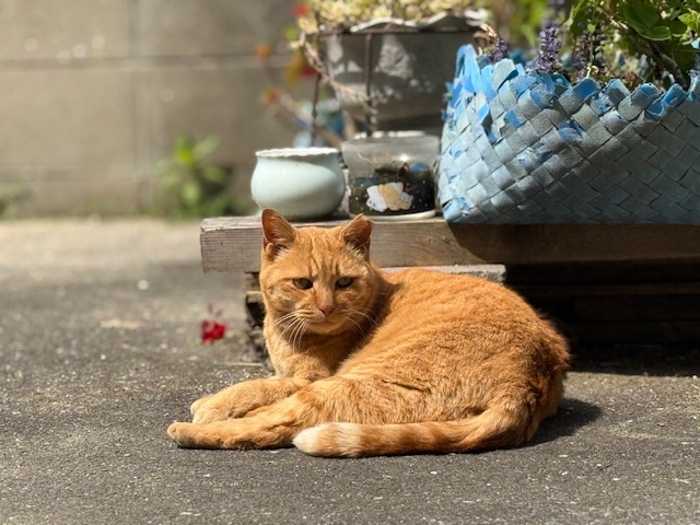 4月30日(水) 花光リフォームのブログ 写真1