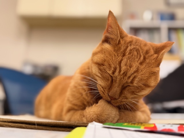 10月24日（金） 花光リフォームのブログ 写真2