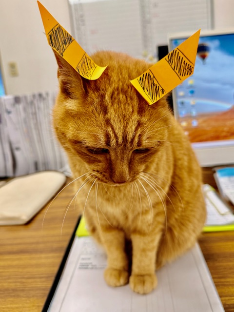 2月7日（土） 花光リフォームのブログ 写真1