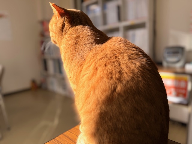 12月18日（木） 花光リフォームのブログ 写真1