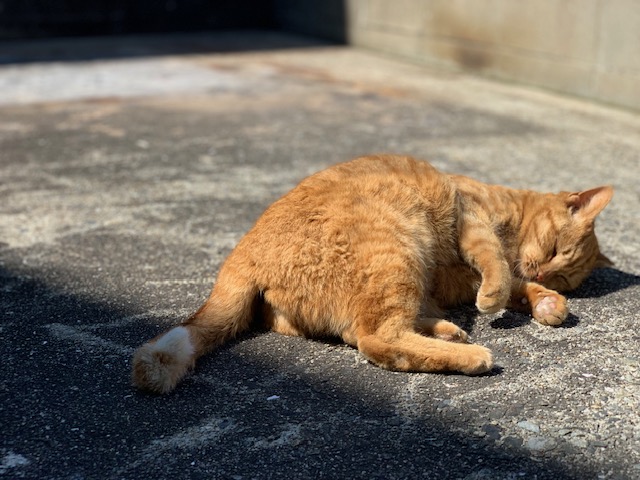 3月15日（金） 花光リフォームのブログ 写真3