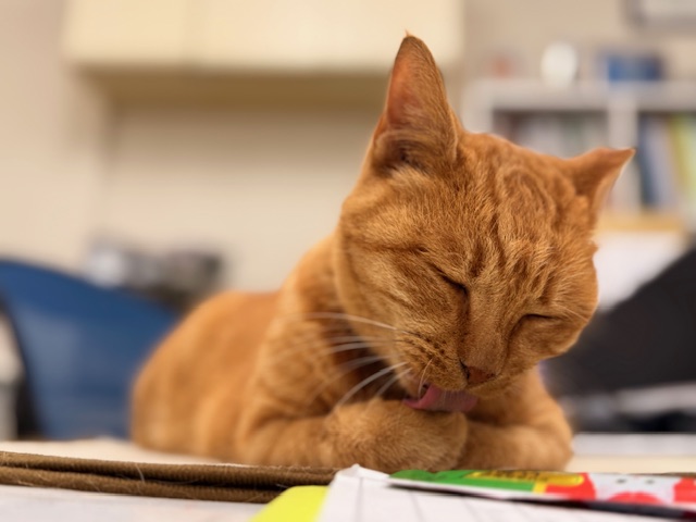 10月24日（金） 花光リフォームのブログ 写真1