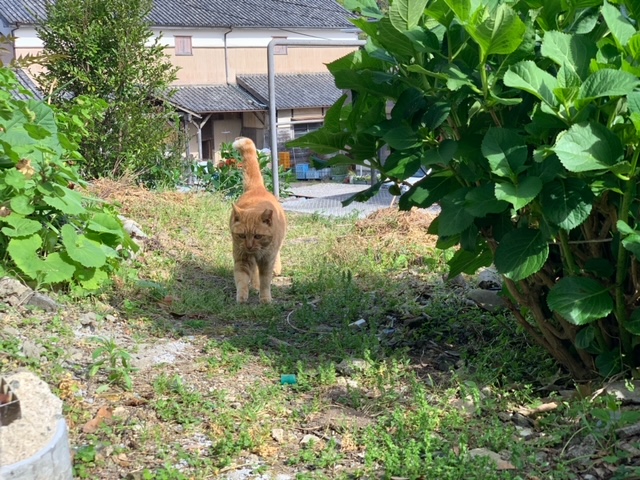 4月20日（土） 花光リフォームのブログ 写真2