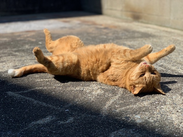 3月15日（金） 花光リフォームのブログ 写真5