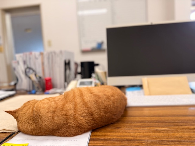 9月30日(火) 花光リフォームのブログ 写真1