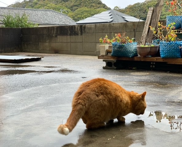 3月25日（月） 花光リフォームのブログ 写真1