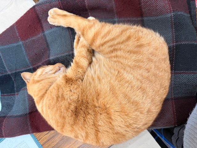 2月20日(金) 花光リフォームのブログ 写真2