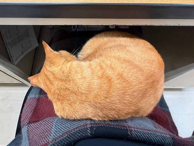 11月5日（水） 花光リフォームのブログ 写真1