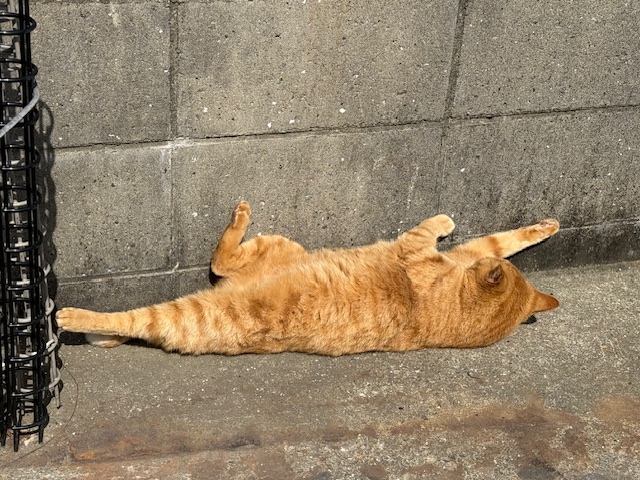 5月13日(火) 花光リフォームのブログ 写真3