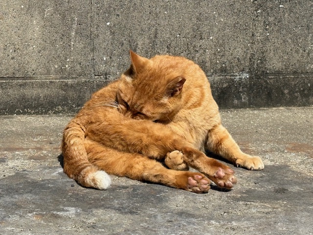 5月13日(火) 花光リフォームのブログ 写真1