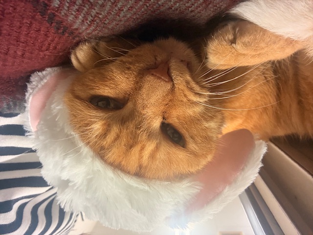 3月19日(木) 花光リフォームのブログ 写真1