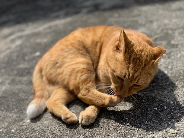 4月17日（水） 花光リフォームのブログ 写真2