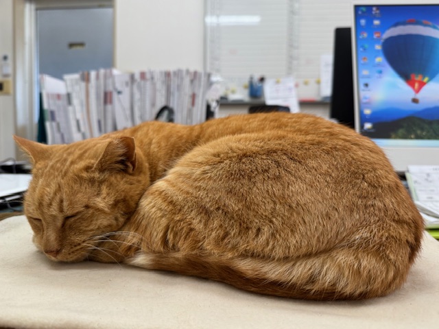 4月16日(水) 花光リフォームのブログ 写真1