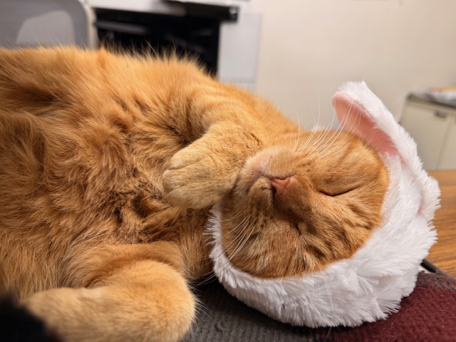 3月19日(木) 花光リフォームのブログ 写真2